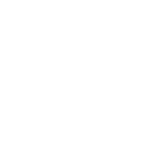 Musculation Icon